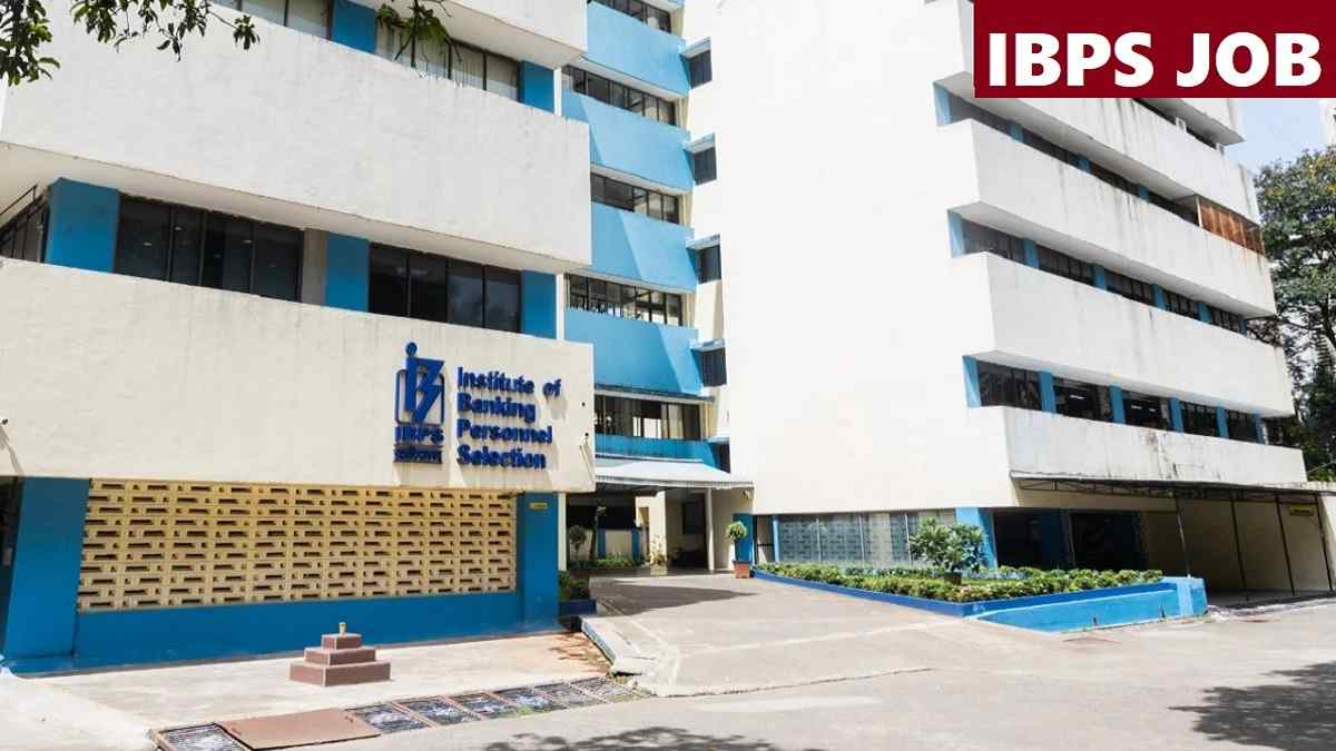 IBPS Job
