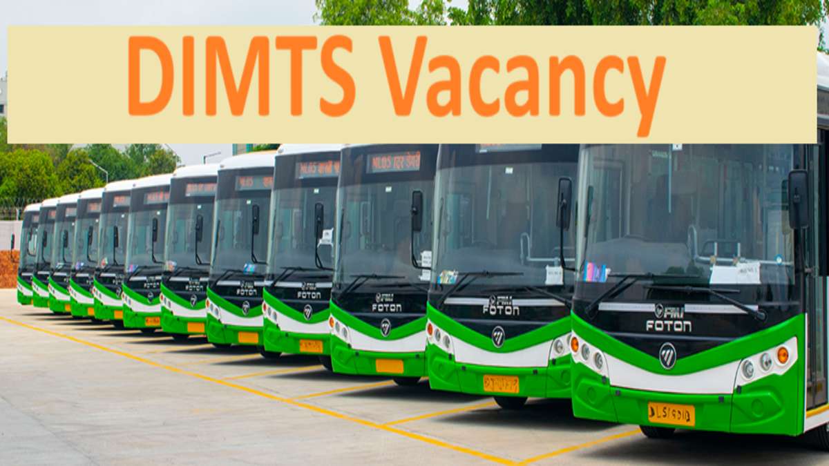 DIMTS Image