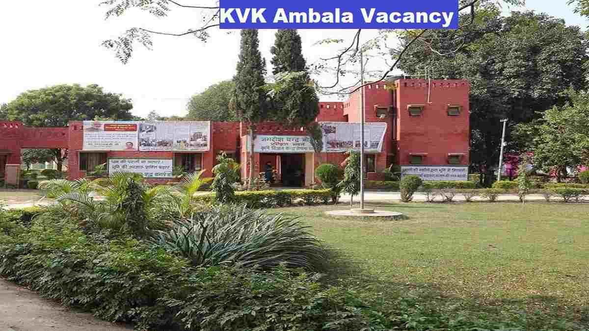 KVK Ambala Vacancy